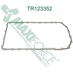 Oil Pan Gasket