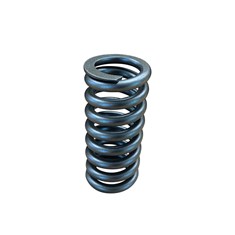 Valve Spring