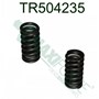 Valve Spring