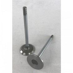 Intake Valve, Standard