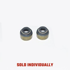 Intake Valve Seal
