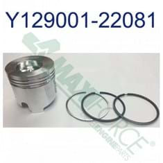 Piston & Ring Kit, Standard