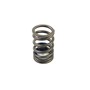 Valve Spring