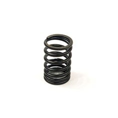 Valve Spring