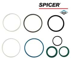 Dana/Spicer Steering Cylinder Seal Kit, MFD