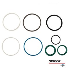 Dana/Spicer Steering Cylinder Seal Kit, MFD