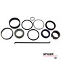 Dana/Spicer Complete Steering Cylinder Seal Kit, MFD