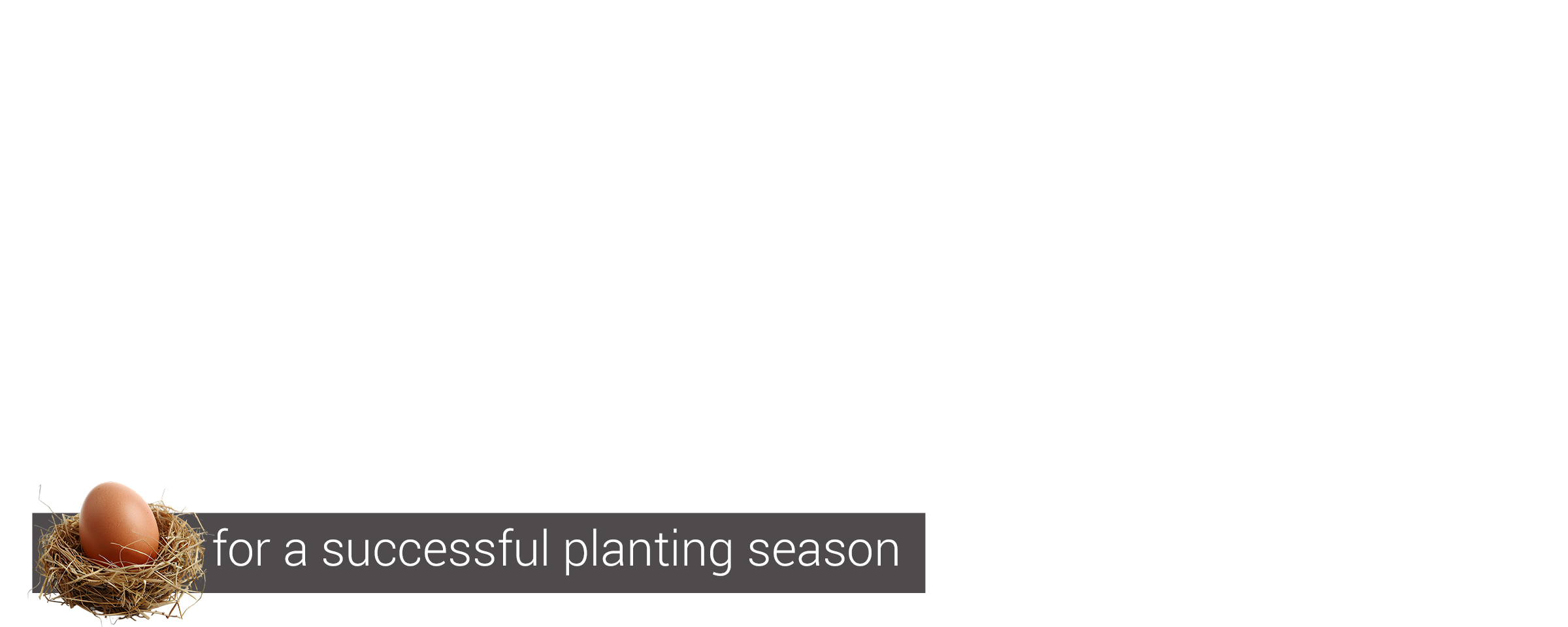 Hatch the perfect plan for a successful planting s