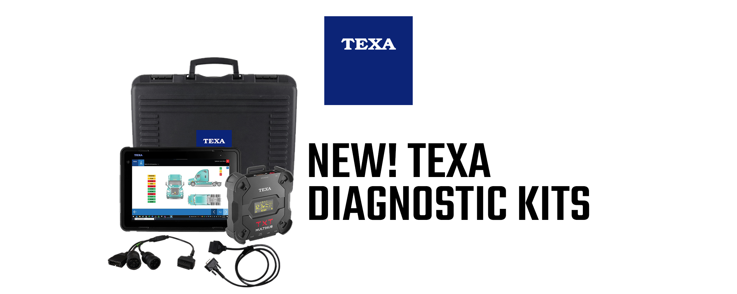 TEXA Diagnostic Kits