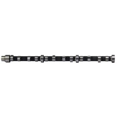 Camshaft w/o Gear & w/o Lifters