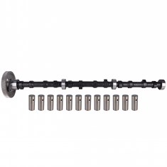 Camshaft w/ Gear - Reman, w/ New 1" Diameter Lifters