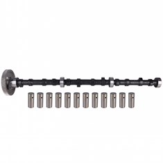 Camshaft w/ Gear - Reman, w/ New 1&quot; Diameter Lifters