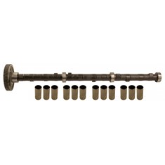 Camshaft w/ Gear - Reman, w/ New 1-1/8" Diameter Lifters