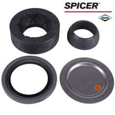 Dana/Spicer Kingpin Bearing & Seal Kit, MFD, 12 Bolt Hub