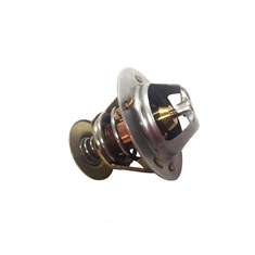 Thermostat, 180 Degree