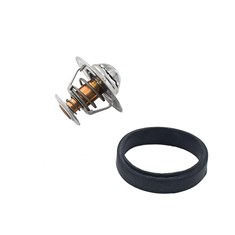 Thermostat Kit