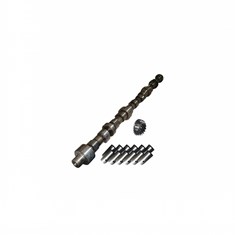 Camshaft & Lifter Kit