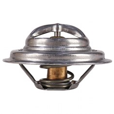 Thermostat, 170 Degree